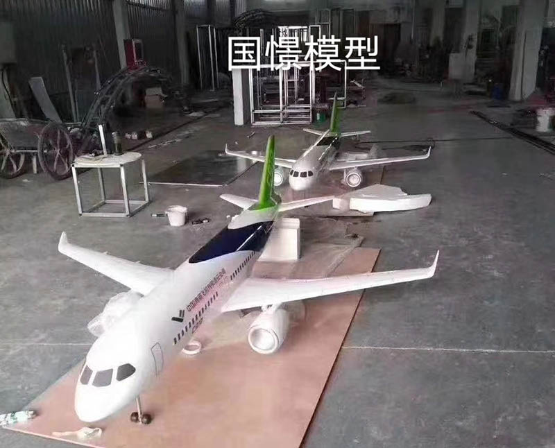 涞源县飞机模型